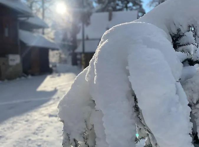 Habitación en casa particular U Adama *